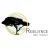 Recilence ERC Synergy