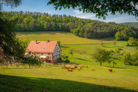 Germany