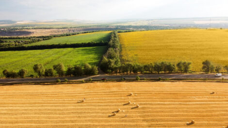 Hungary