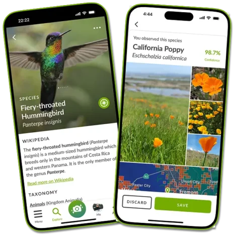 iNaturalist App